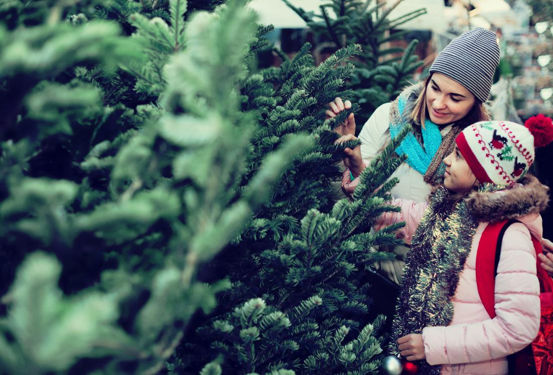 Kako izbrati pravo božično drevesce za vaš stil življenja