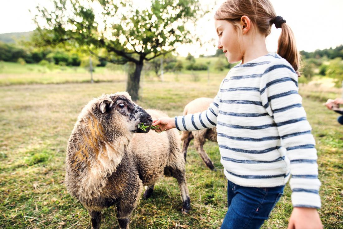 Ideje za izlet: Kmetije, na katerih lahko otroci spoznajo živali