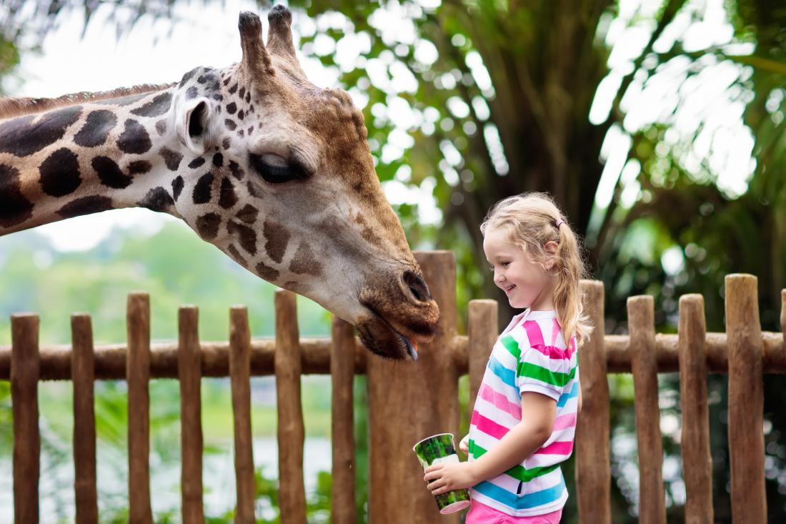 Ideje za izlet: Spoznajte živalske vrtove Slovenije