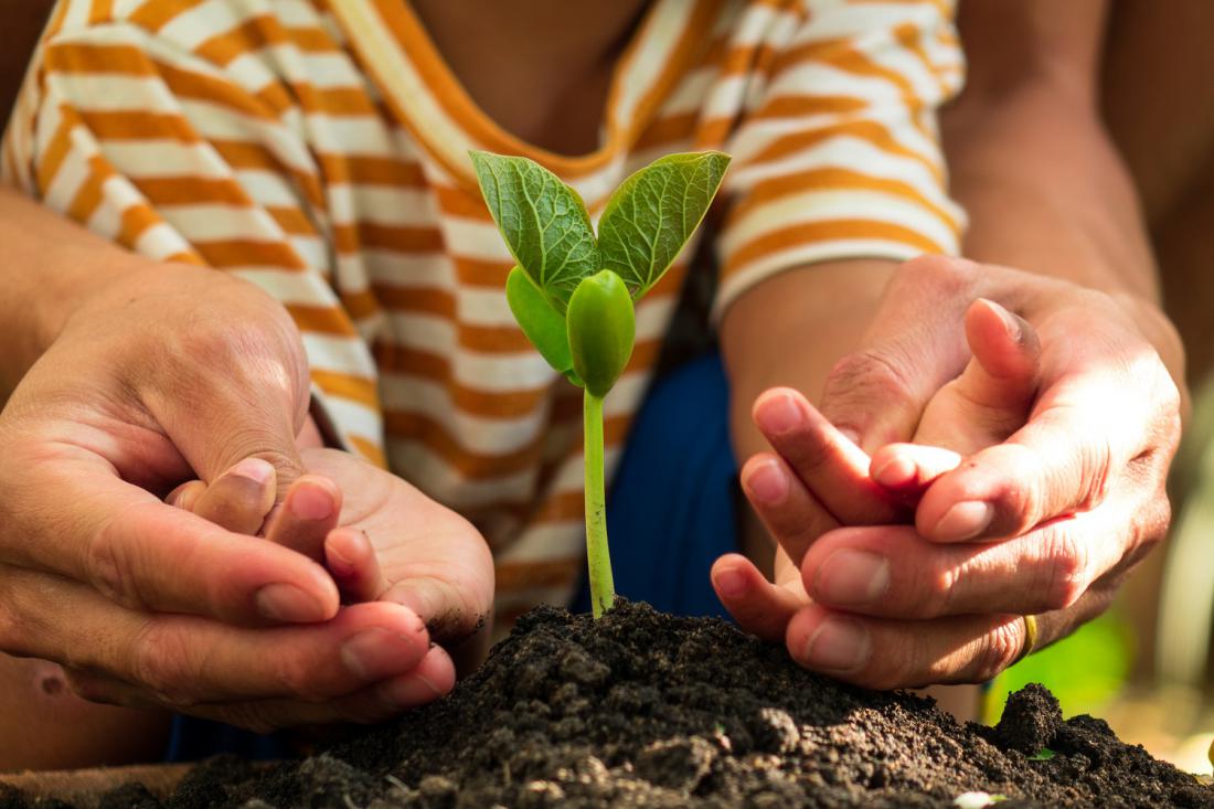 Vrtnarjenje z otroki: Iz semena zeleno stebelce 