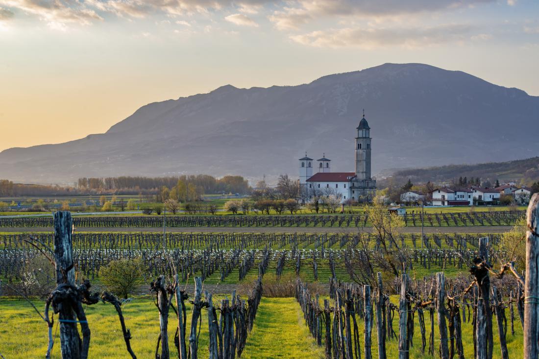 Ideja za izlet: med vinograde in v kleti Vipavske doline