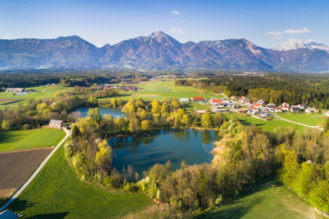 Poletje 2022 v Sloveniji: Mestne občine razkrivajo točke za sončenje in ohladitev