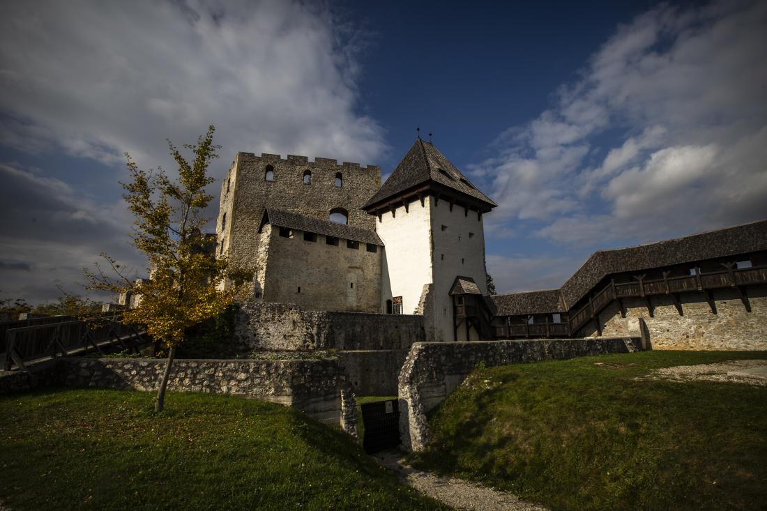 Stari grad velja za največjo celjsko znamenitost. Foto: Voranc Vogel/Delo